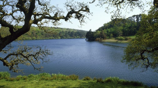 Looking through the trees and across Loe Pool